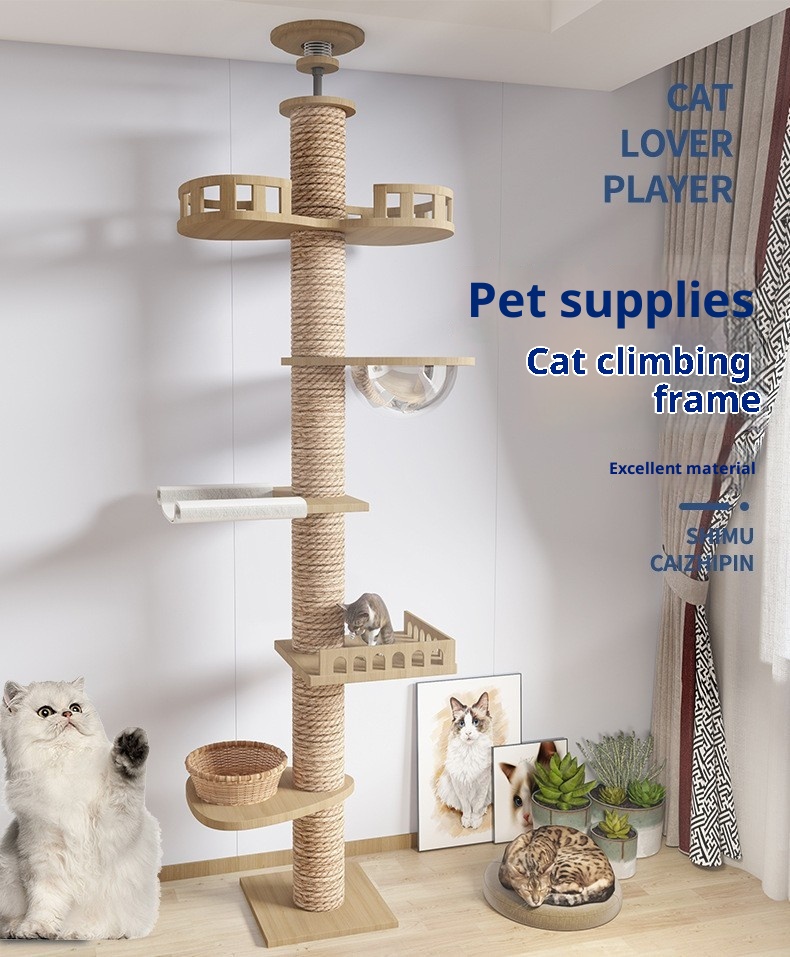 hmqViviiyNSAyin9WueXt+x5rewFESCY8pFC