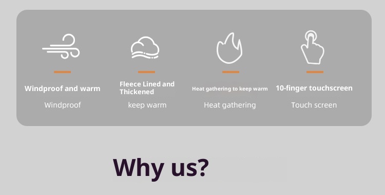 Gants d'hiver Northeast pour hommes, résistants au froid et au gel, doublés en polaire épaisse, compatibles avec les écrans tactiles de ski et de cyclisme pour femmes._voghion.com