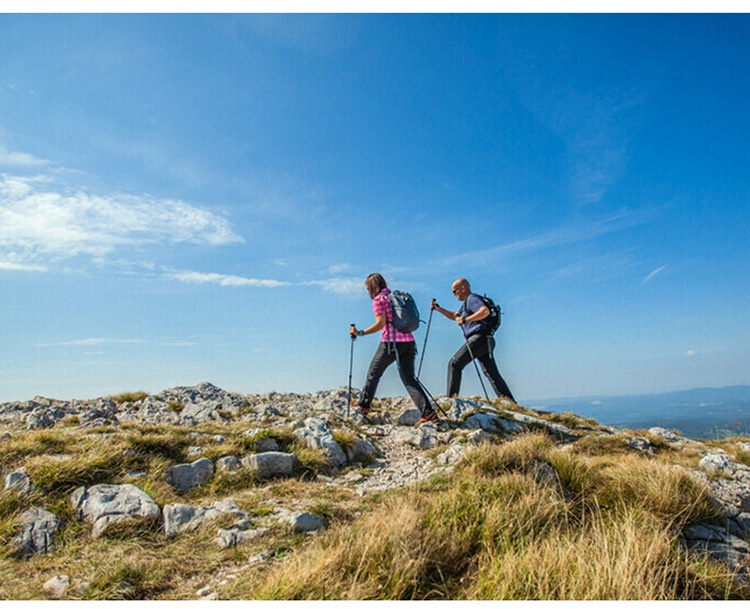 001 Direkt vom Hersteller: Ultraleichter, teleskopierbarer Trekkingstock aus Kohlefaser – ideal zum Wandern, Klettern und Trekking._voghion.com