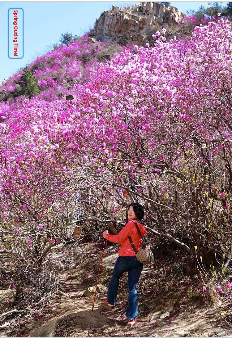 001 Pole Accessories Hiking Stick Protective Cover Anti-Slip Head Trekking Tourist Poles Dropshipping_voghion.com