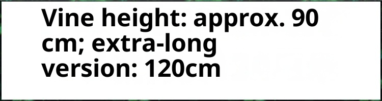 001 Bastone da trekking in rattan di alta qualità, in legno massello, per anziani, con spedizione gratuita, integrato, antiscivolo_voghion.com