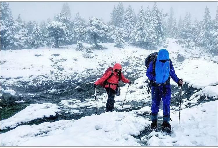 001 Outdoor Travel Climbing Multi-Functional Retractable Walking Stick Hiking Trail Three-Section Four-Section Ultra-Light_voghion.com