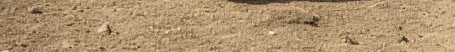 001 Aluminum Alloy Three-Section Straight Handle Trekking Pole Telescopic Walking Stick Professional Outdoor Hiking Cane_voghion.com