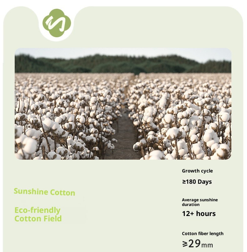 001 001 Per donne Sport Fitness professionale Corsa Corda per saltare Energia muscolare Compressione metà polpaccio Yoga Calzini dimagranti per le gambe_voghion.com