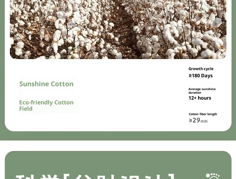 Chaussettes de yoga et de sport antidérapantes à cinq orteils, mi-mollet, pour le Pilates au sol, automne-hiver, avec séparation des orteils, style Zhuji, à clipser._voghion.com