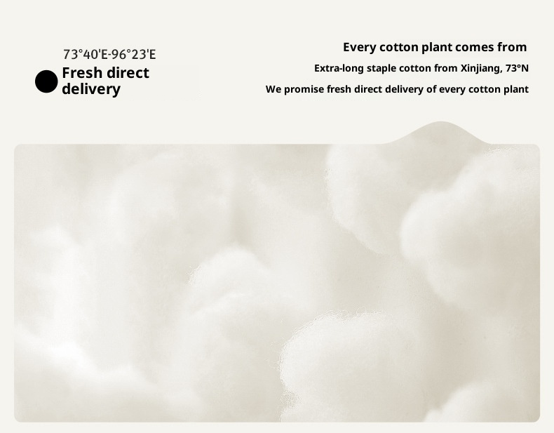 Chaussettes de sport mi-mollet antidérapantes pour femmes, idéales pour le yoga, le fitness et le Pilates. À porter avec un pantalon Shark._voghion.com