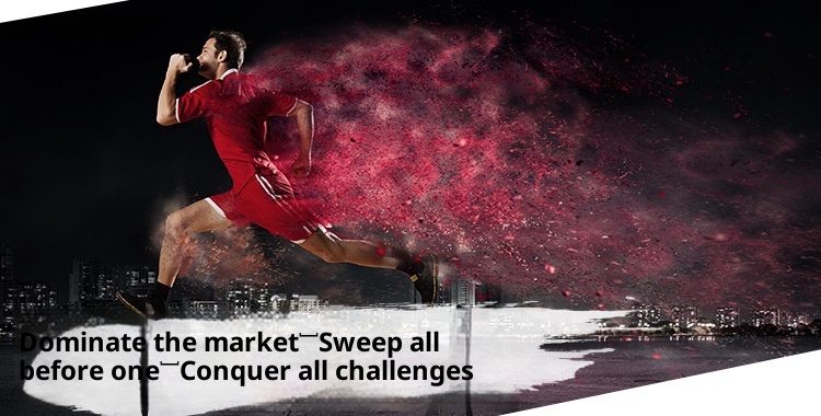 ActiveGo Two Wolves Outdoor Mid-Calf Thickened Towel Sweat-Saugen Odor-Resistent Sports Base Hiking Trekking Herrensocken_voghion.com