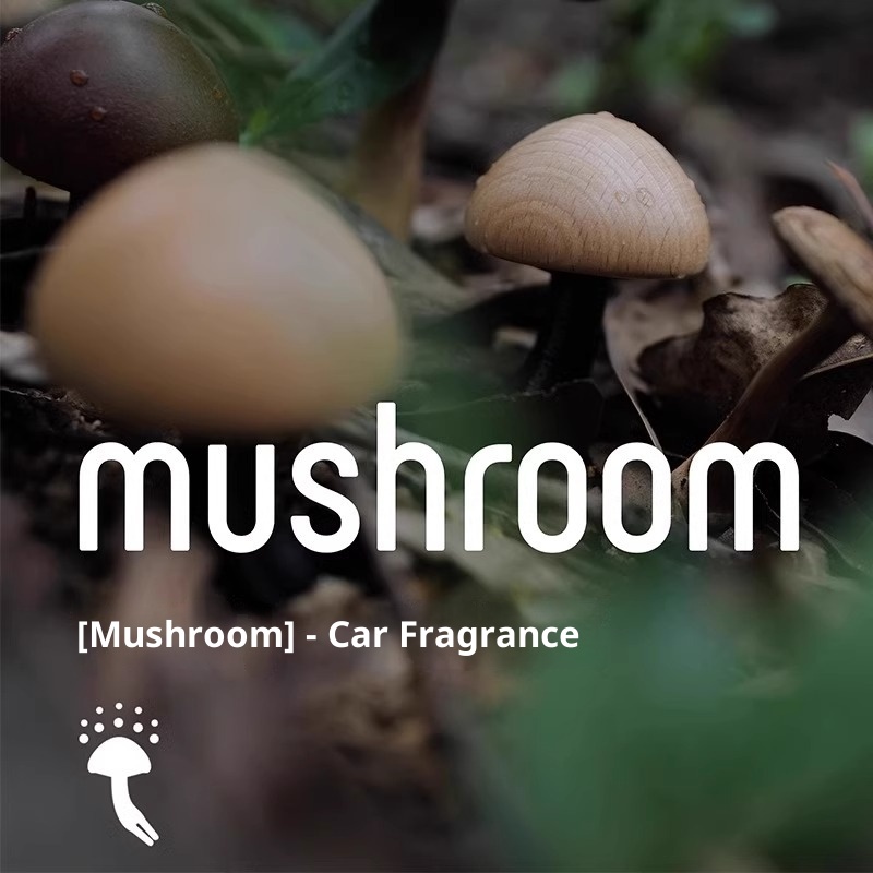 BBDD Profumo Fungo Bocchetta Aria Aromaterapia Carino Creativo Fragranza Ornamento Decorazione Interni Auto_voghion.com