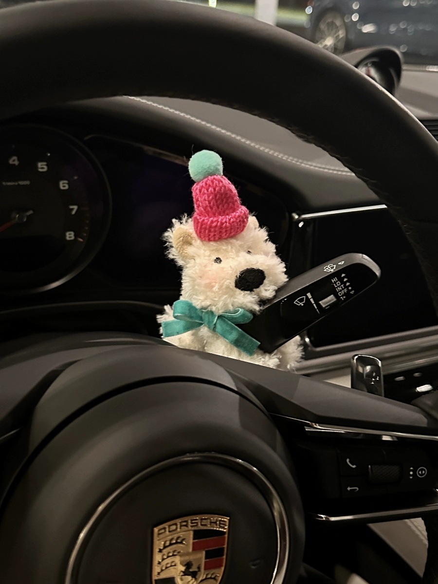 Scrappy Puppy Dashboard Decoration Interior Wiper Turn Signal Car Ornament Other_voghion.com