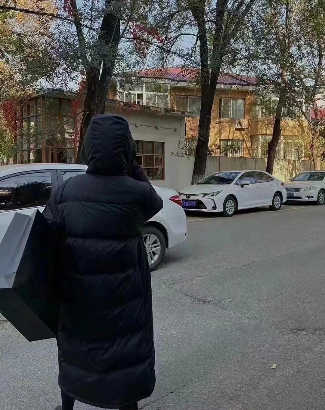 Doudoune ChicShe Putian High Version Beijia Face Extra Long Down Shin Min Ah Same Winter Unisex Couple Style_voghion.com