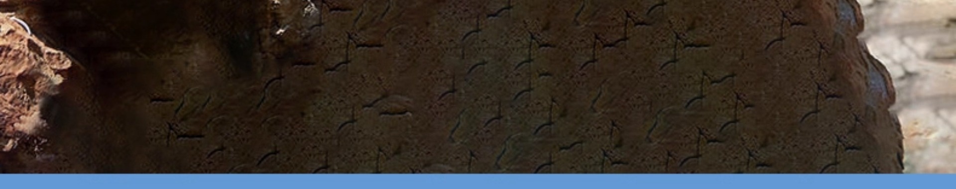 ShoeGlobe Hantu impermeabili da uomo, stivali da pioggia pesanti per autunno e inverno, scarpe sportive alte da esterno, antiscivolo e resistenti all'usura_voghion.com