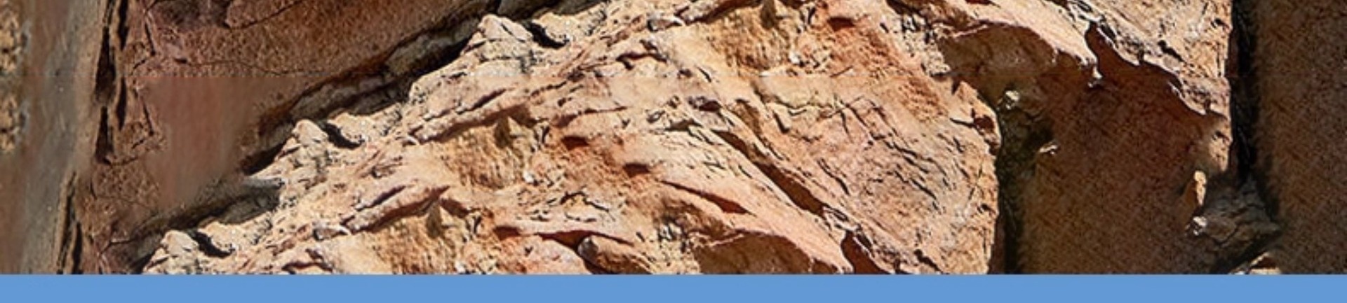 ShoeGlobe Hantu impermeabili da uomo, stivali da pioggia pesanti per autunno e inverno, scarpe sportive alte da esterno, antiscivolo e resistenti all'usura_voghion.com