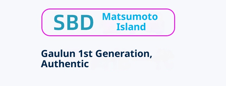 SBDMatsumoto Island Daikailun Profumo Sedile Aromaterapia Auto Ornamento Forniture All'ingrosso Interni Un Pezzo Dropshipping_voghion.com