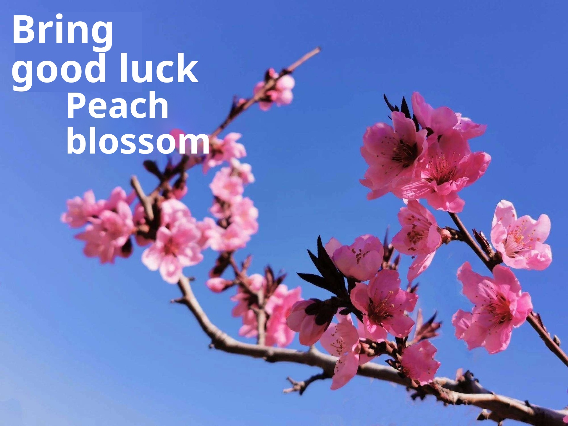 Air Vent Aromatherapy Ornament Peach Blossom Luck Fortune Good Relationships Diffuser Stone Decoration Car Interior_voghion.com