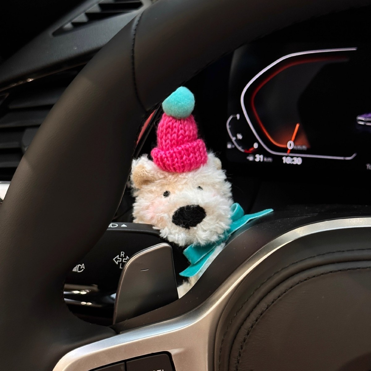 Niedlicher Auto-Anhänger mit Welpenmotiv für Armaturenbrett, Scheibenwischer und Blinker – ein süßes Auto-Ornament für Frauen_voghion.com