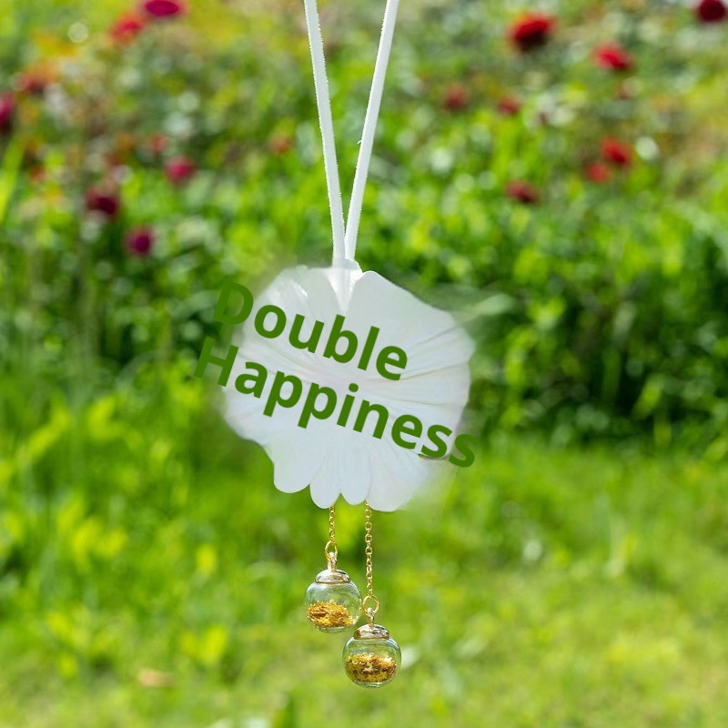 Car Rearview Mirror Hanin Frarance Piece Decor Wardrobe Diffuser Stone Two-tone Pendant Swan Air Vent Ornament_voghion.com