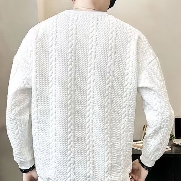 Sweat-shirt blanc pour homme, allure haut de gamme, style printanier, nouvelle tendance hiver 2024 à col rond, pièce automnale unique._voghion.com