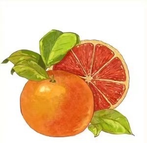 Huaqiangbei GT9 Smart Watch Multi-Function Call Answering NFC Waterproof Sports Bracelet_voghion.com