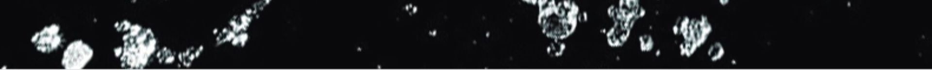 Chaussures ShoeGlobe Hantu imperméables pour hommes, légères et respirantes, idéales pour l'été, les jours de pluie, antidérapantes et amortissantes pour le sport et la randonnée en extérieur. Idéales pour l'été, les activités de plein air et les journées pluvieuses._voghion.com