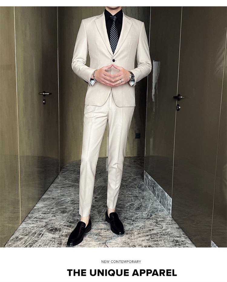 Completo casual da uomo in stile coreano, vestibilità slim, piccolo blazer, giacca da ufficio leggera, abito da sposo, abito da sposa_voghion.com