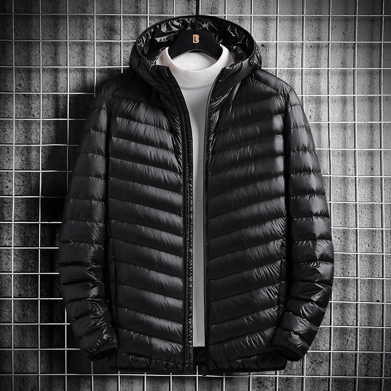 boy Stand Collar Hooded Jacket For Men, Lightweight Autumn And Thin Warm Clothing, Off-Season Winter Wear, White Duck Down_voghion.com