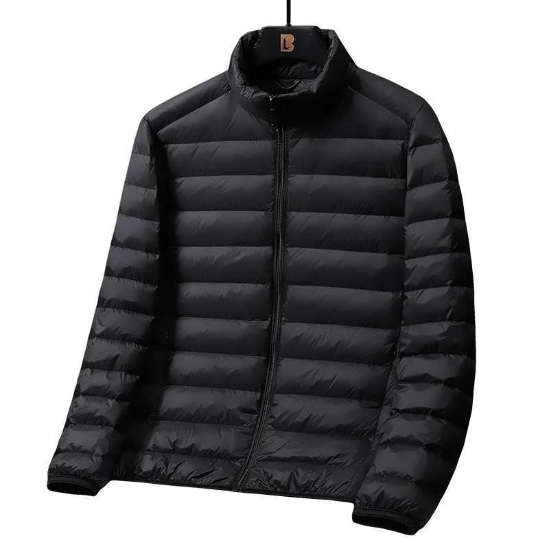boy Stand Collar Hooded Jacket For Men, Lightweight Autumn And Thin Warm Clothing, Off-Season Winter Wear, White Duck Down_voghion.com