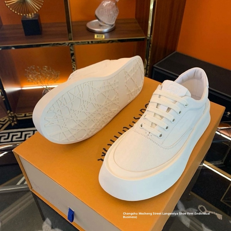 Zees Canvas Men's 2025 New Spring European Style Slip-On Breathable Lazy British Casual White Shoes_voghion.com