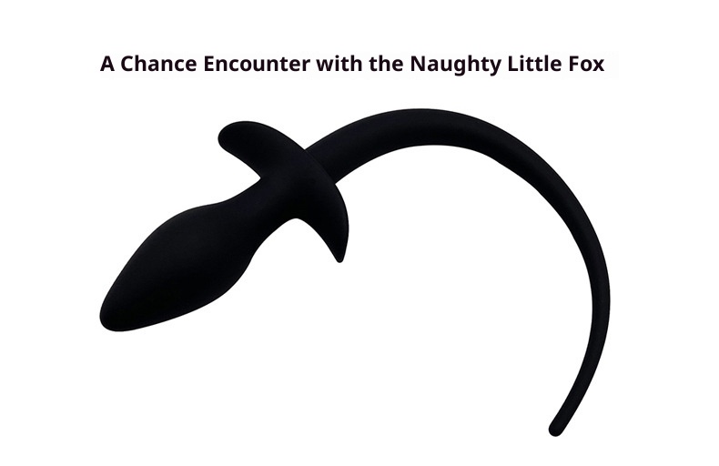 LuvBox Tail Dog Slave Silicone Costume Fox Sexy Anal Plug Adult Sex Products Alternative Toys_voghion.com