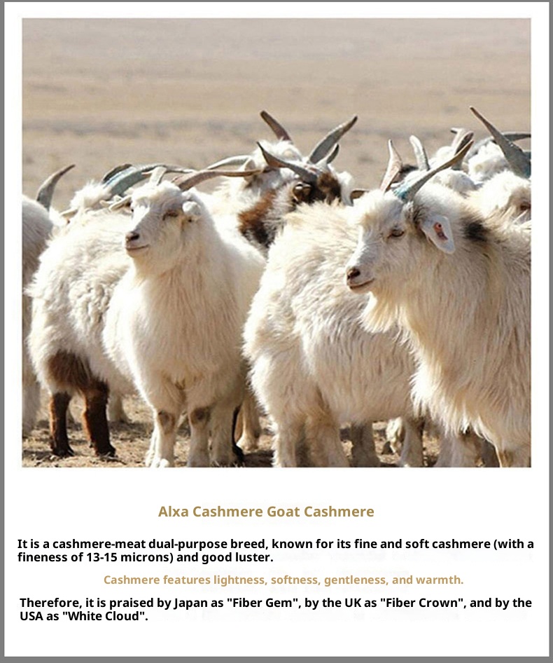 boy Boy Boy 100% Pure Wool Sweater For Men, Round Neck, Color Block Gradient, Thickened, Loose Fit, Business Casual Cashmere Knitted_voghion.com