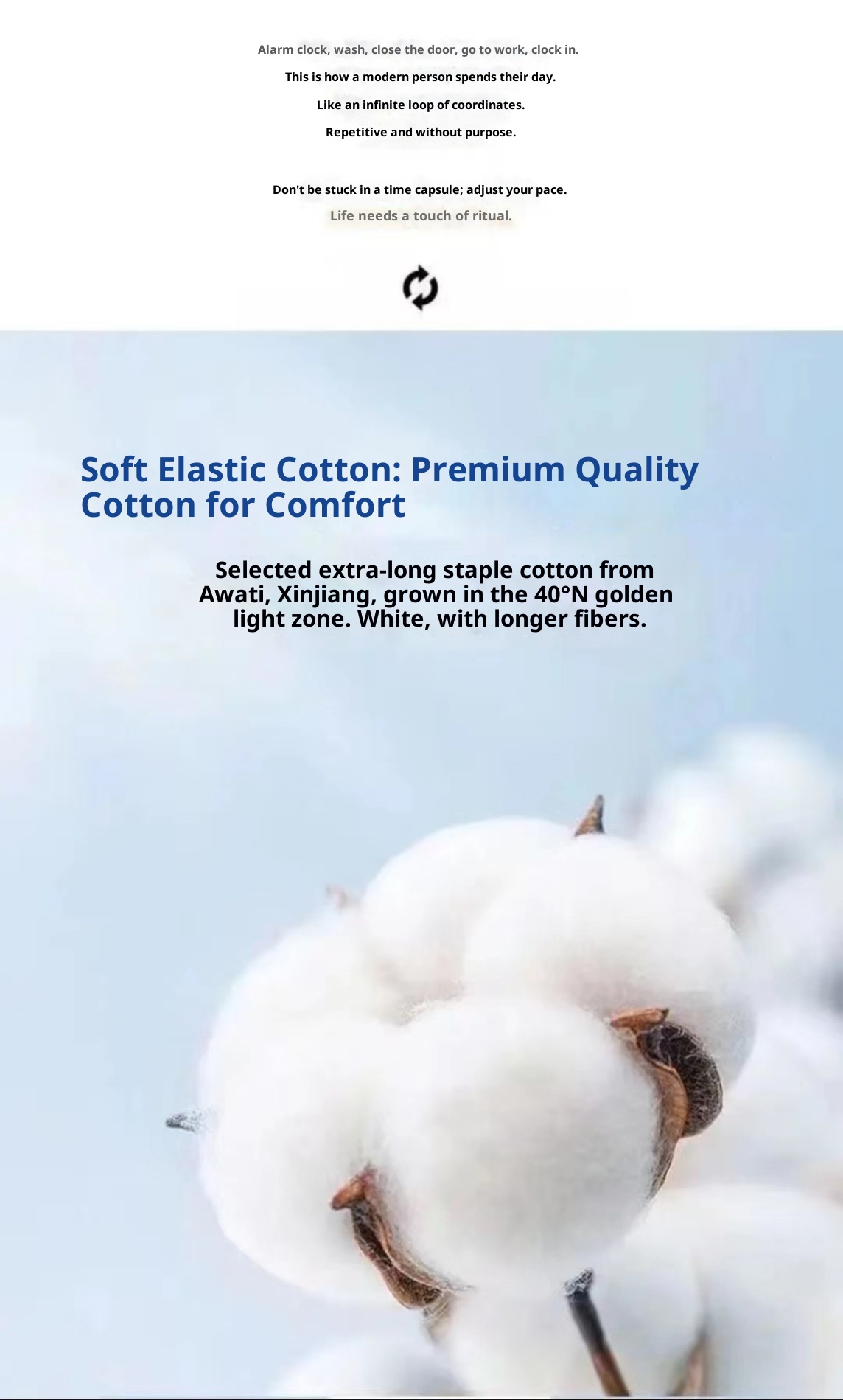 Maglietta a maniche lunghe primaverile e in puro cotone per uomo, scollo tondo, maglietta di base sottile, strato interno, felpa di alta qualità,_voghion.com