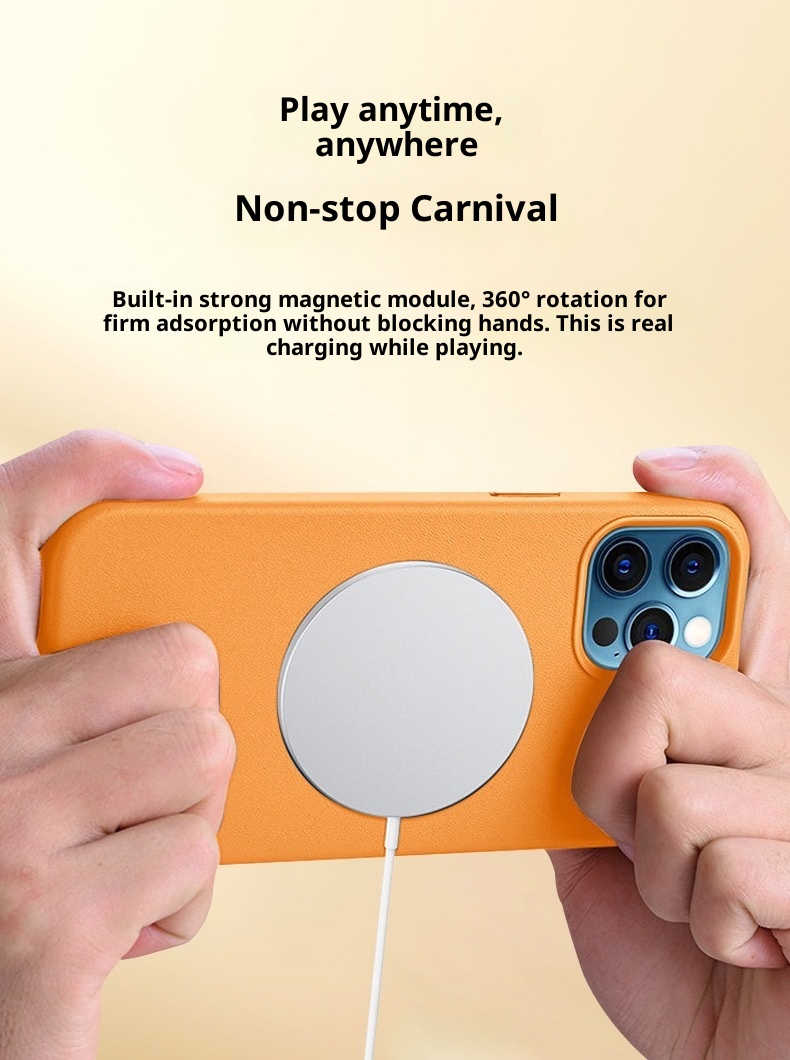 TechGlobe Leather Magnetic Compatible With 15Pro Phone Case Animated Pop-up IPhone 15 Shockproof Protective Cover_voghion.com