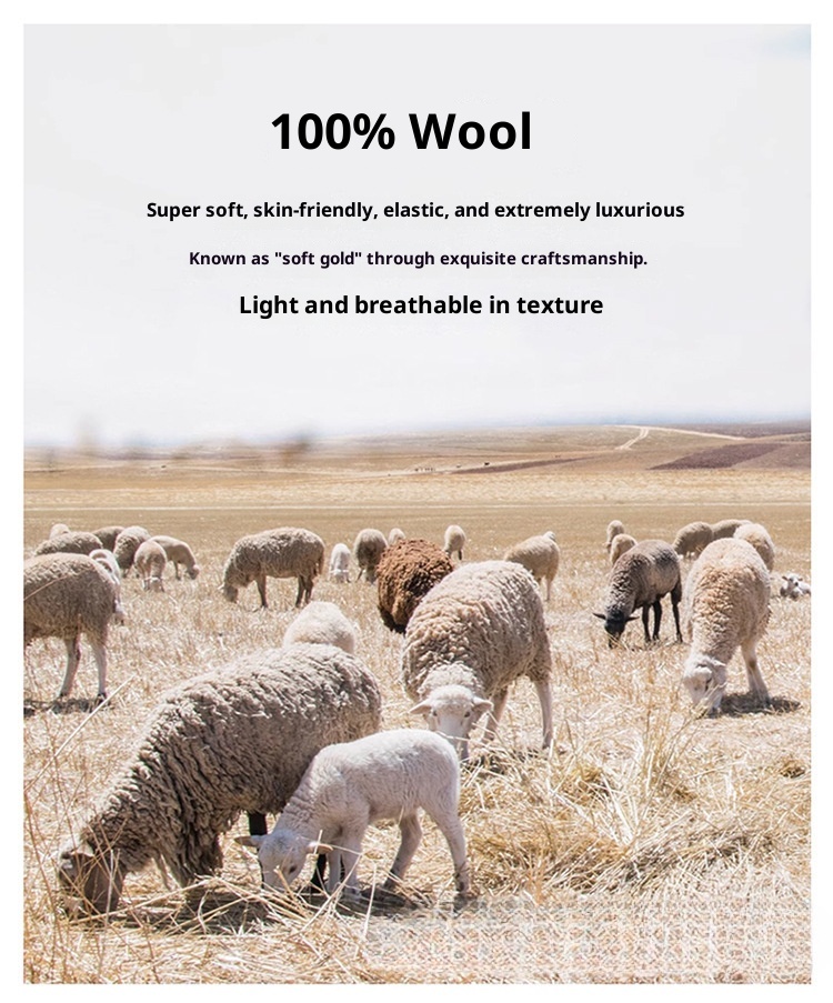 boy Boy Boy Autumn Winter New 100% Pure Wool Men's Half Turtleneck Knitted Pullover Casual Loose Base Cashmere Sweater_voghion.com