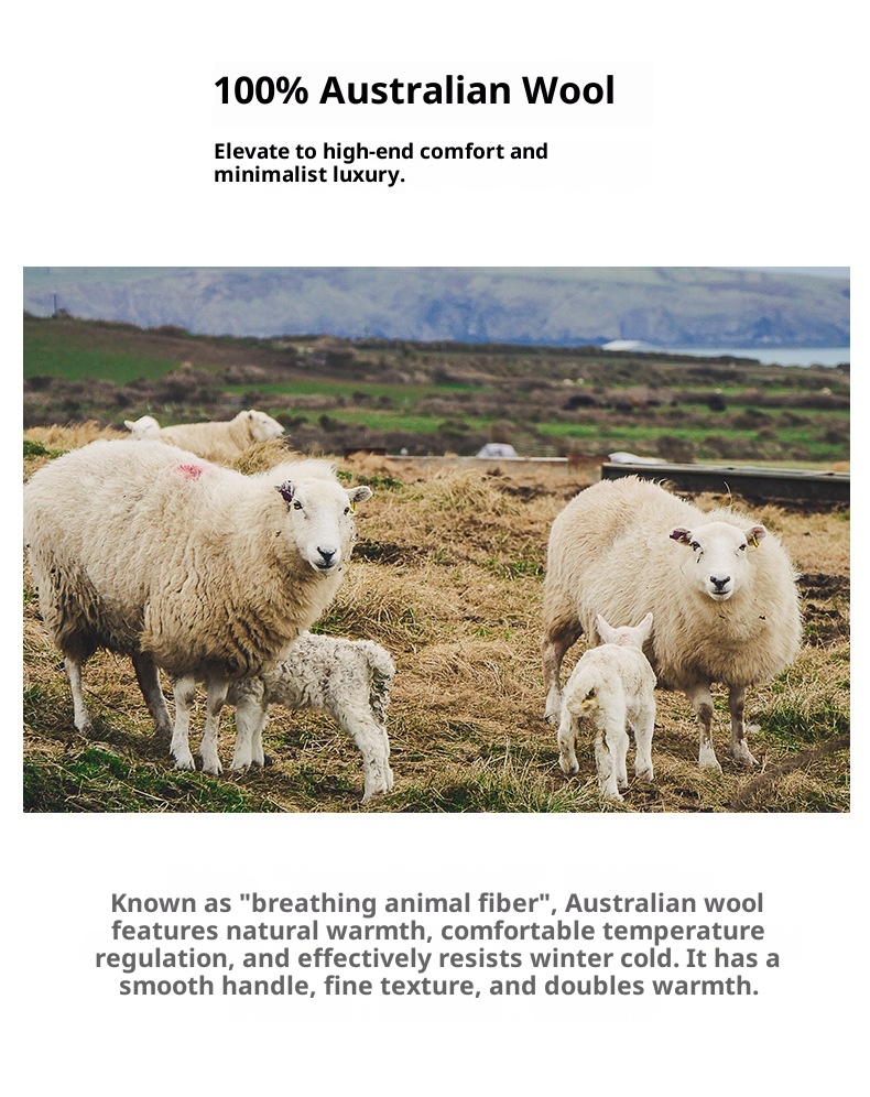 ragazzo Ragazzo Ragazzo 2024 Autunno Inverno Nuovo Uomo Giovanile Pura Lana Spessa Caldo Maglione Girocollo Maglia Top Base Camicia_voghion.com