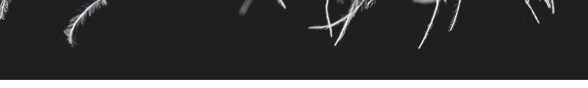 001 Giacca imbottita impermeabile HJCAMEL Camel per uomo e donna, antivento, foderata in pile, per attività all'aperto, lunga_voghion.com