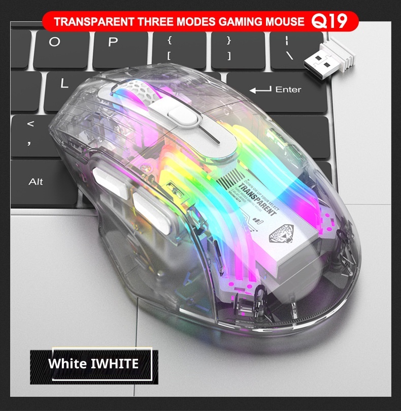 Techglobe Imperial Leopard Q19 Mouse da gioco trasparente con illuminazione RGB per laptop e desktop, con ricarica Bluetooth wireless a tre modalità_voghion.com