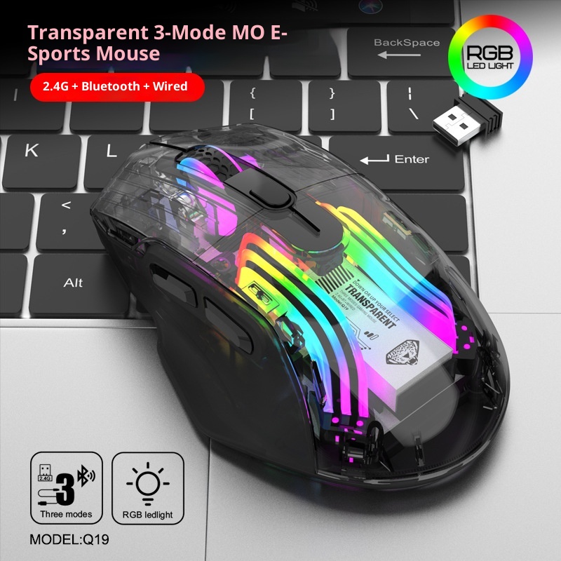 Techglobe Imperial Leopard Q19 Mouse da gioco trasparente con illuminazione RGB per laptop e desktop, con ricarica Bluetooth wireless a tre modalità_voghion.com