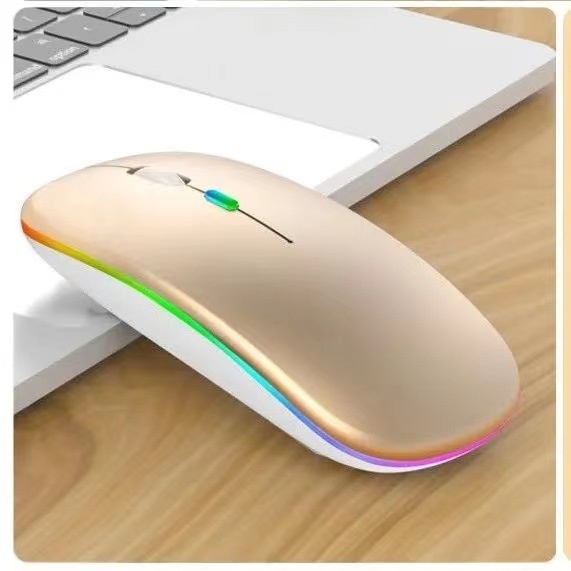 Techglobe 2.4G Bluetooth Wireless Dual Mode Silent Compatible With Laptop Charging Noiseless Office Glowing Mouse_voghion.com