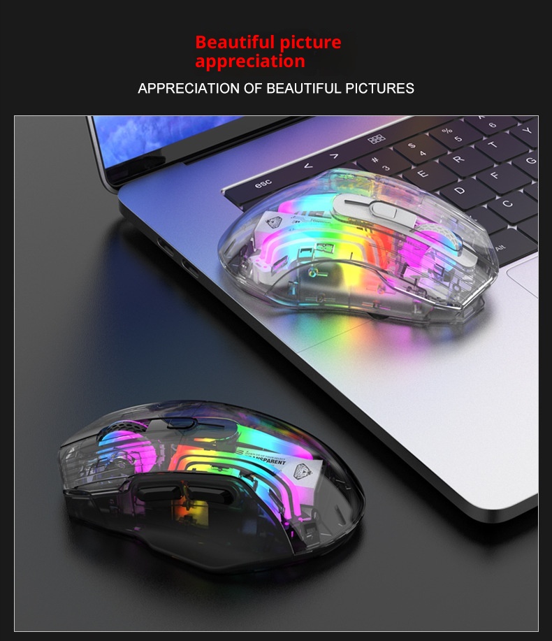 Techglobe Imperial Leopard Q19 Mouse da gioco trasparente con illuminazione RGB per laptop e desktop, con ricarica Bluetooth wireless a tre modalità_voghion.com