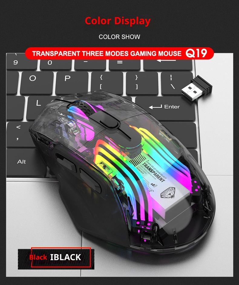 Techglobe Imperial Leopard Q19 Mouse da gioco trasparente con illuminazione RGB per laptop e desktop, con ricarica Bluetooth wireless a tre modalità_voghion.com