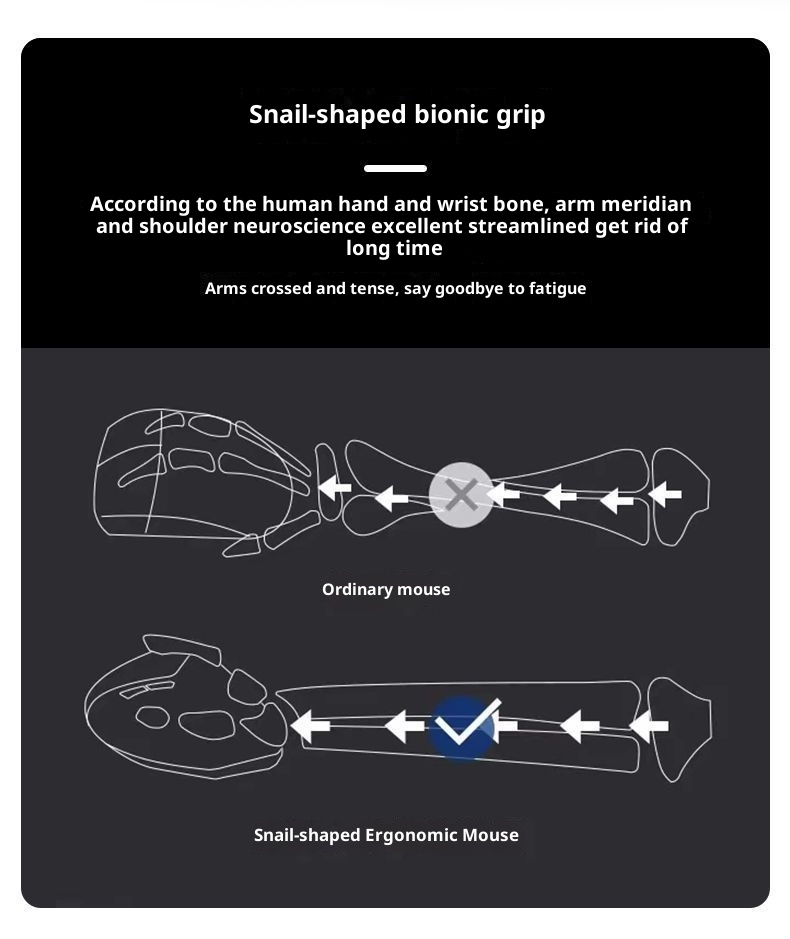 Traitement des commandes Digitex US ! Souris sans fil ergonomique pour ordinateur (prix d'origine : plus de 200 €). Excellent rapport qualité-prix._voghion.com
