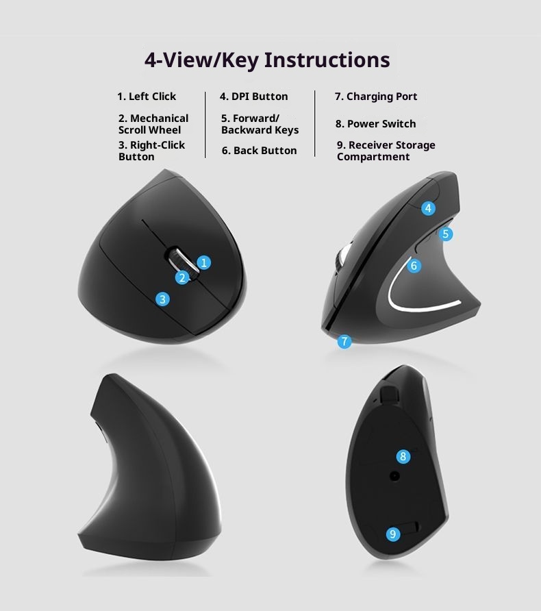 Traitement des commandes Digitex US ! Souris sans fil ergonomique pour ordinateur (prix d'origine : plus de 200 €). Excellent rapport qualité-prix._voghion.com
