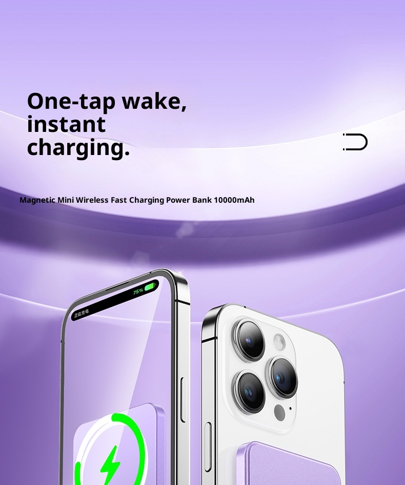 Techglobe 3C Certificato Banca Wireless Magnetica Lega Ultra-Sottile Alimentatore Esterno Supporta Ricarica Rapida PD Compatibile con_voghion.com