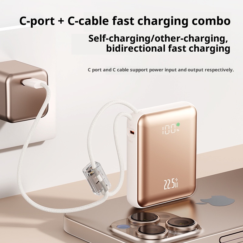 techglobe 22.5W Super Fast Charging Power Bank 10000mAh Digital Display Gift Lightweight Mini Portable Charger Custom_voghion.com