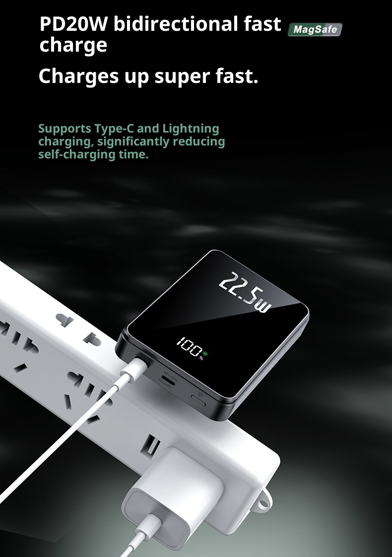TechGlobe 22.5W Bank 20000mAh 10000 Mobile Power Fast Charging Digital Display Portable Wireless_voghion.com