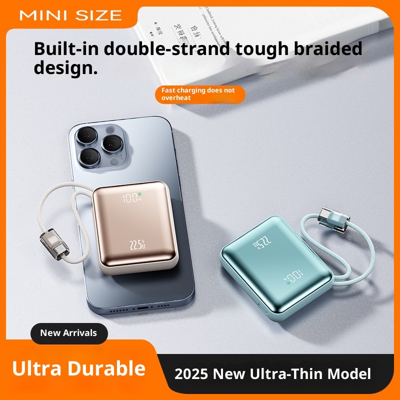 techglobe 22.5W Super Fast Charging Power Bank 10000mAh Digital Display Gift Lightweight Mini Portable Charger Custom_voghion.com