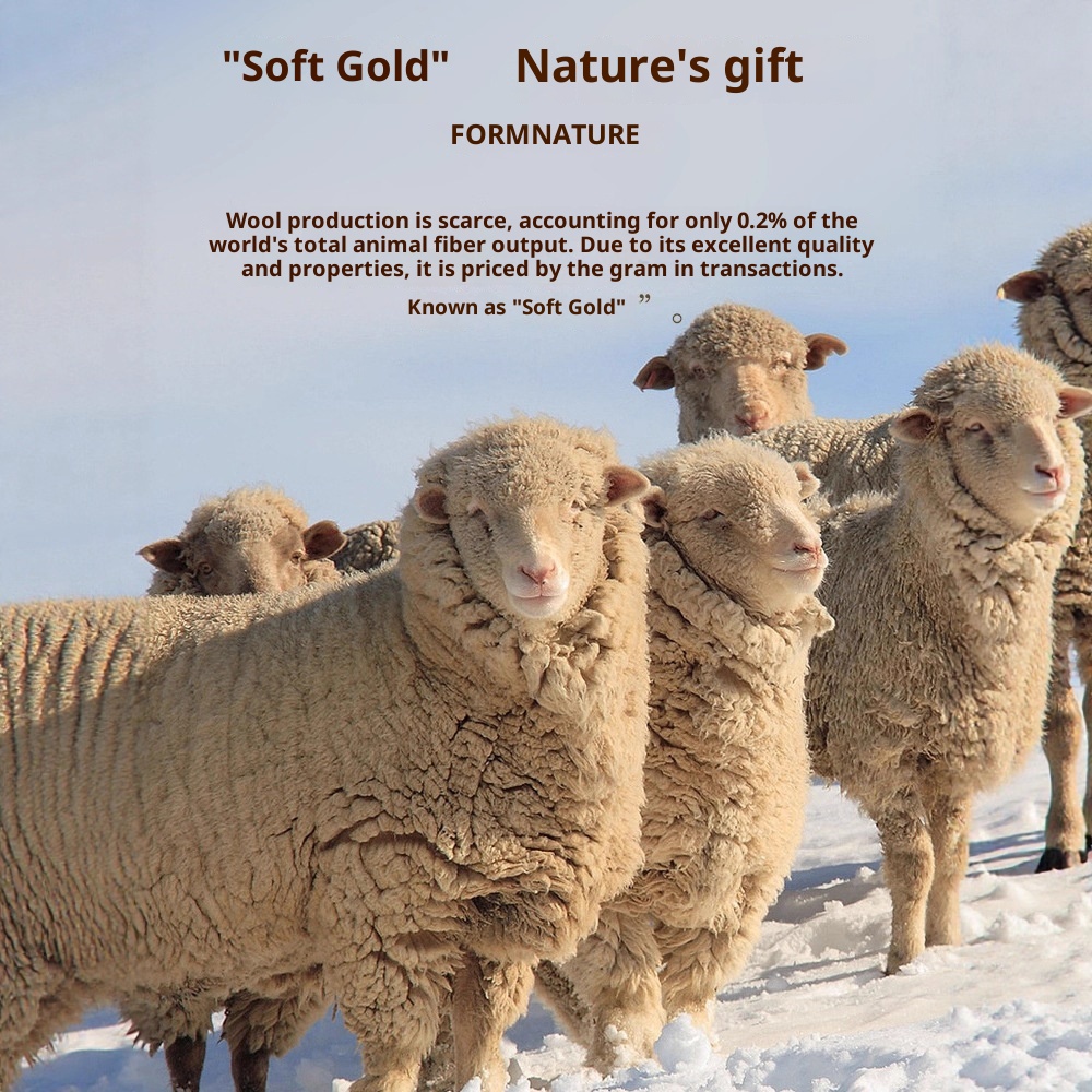 boy Boy Boy Boy Men's Wool Modal Half Turtleneck Sweater With Fleece Lining, Thickened And Warm, Simple Knitted Base Shirt_voghion.com