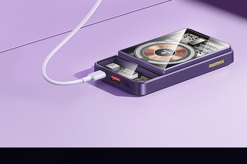 TechGlobe REMAX compatibile con 17 cavi magnetici trasparenti integrati, banca dati mobile da 10000 mAh con ricarica rapida 3C_voghion.com