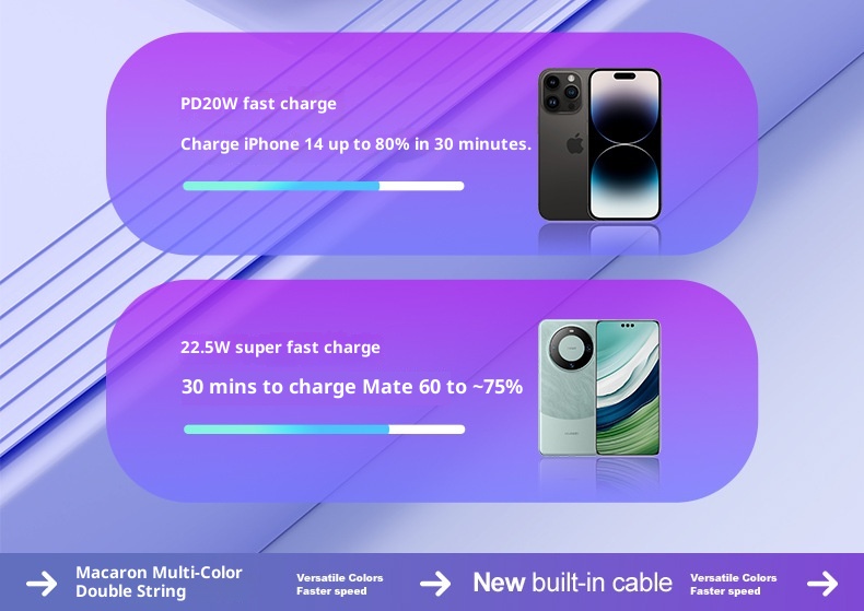 techglobe 2025 New Mini 20000mAh Super Fast Charging With Built-in Cable Power Bank Gift_voghion.com