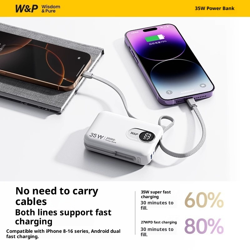 techglobe W&P Power Bank With Built-in Cable, Compact And Portable, Ultra-Thin, 2W MAh Large Capacity, 45W Fast Charging, Airplane_voghion.com