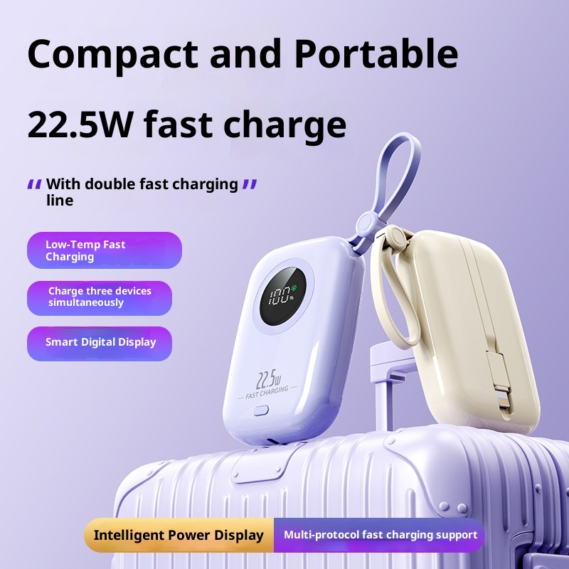 techglobe 2025 New Mini 20000mAh Super Fast Charging With Built-in Cable Power Bank Gift_voghion.com